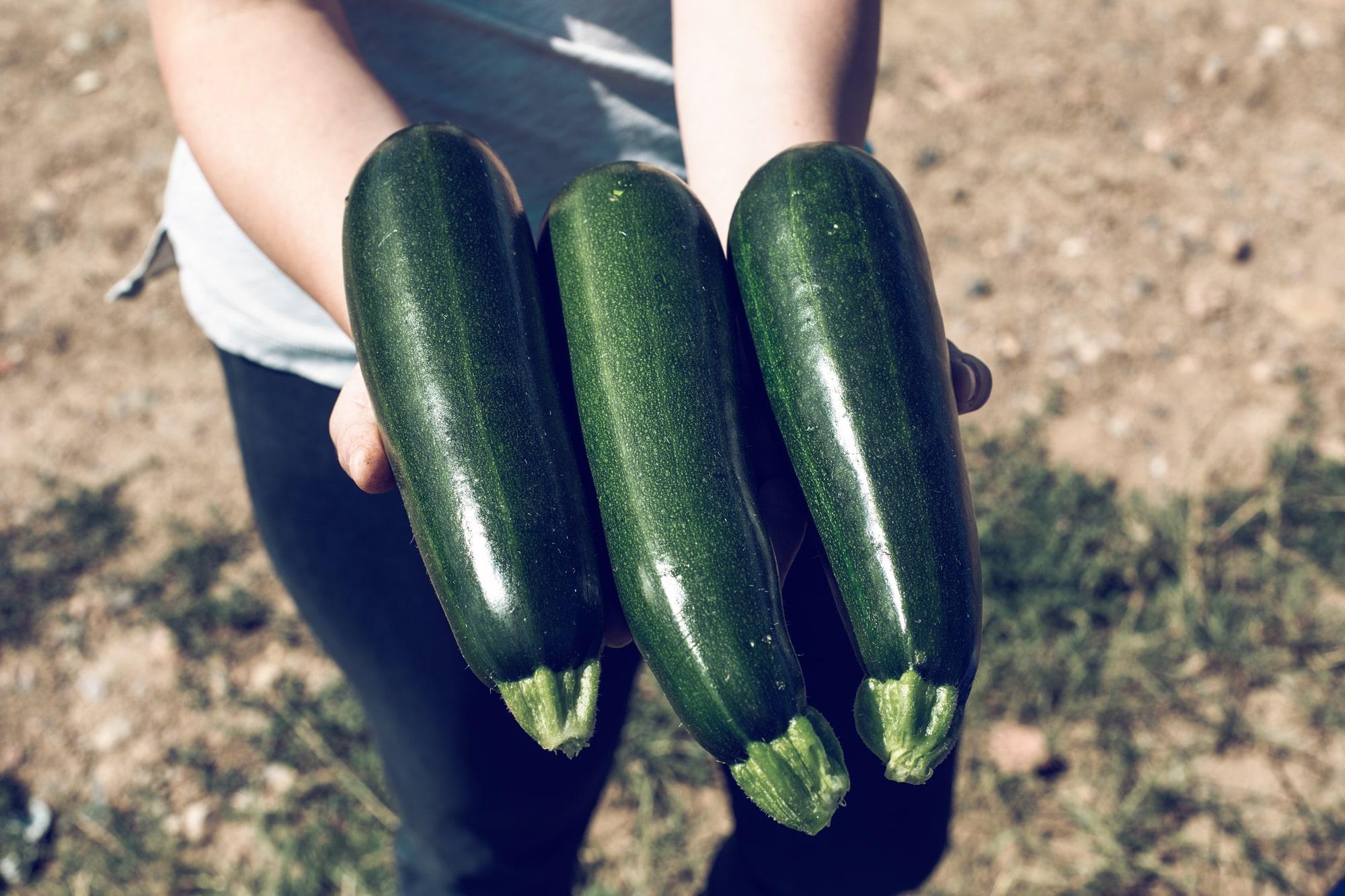 Courgettes