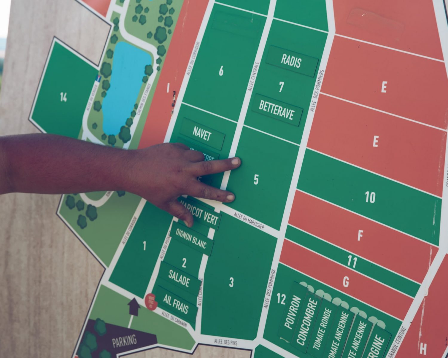 Plan exploitation production certifiée agriculture biologique